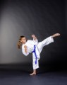BS-13WKF