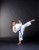 BS-13WKF