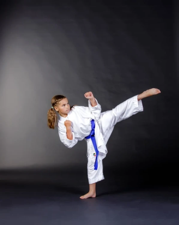 BS-13WKF