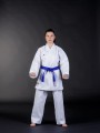 BS-13WKF