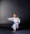 BS-13WKF