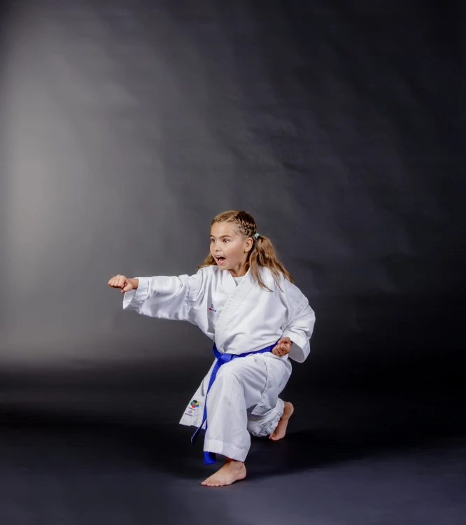 BS-13WKF
