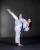 BS-13WKF