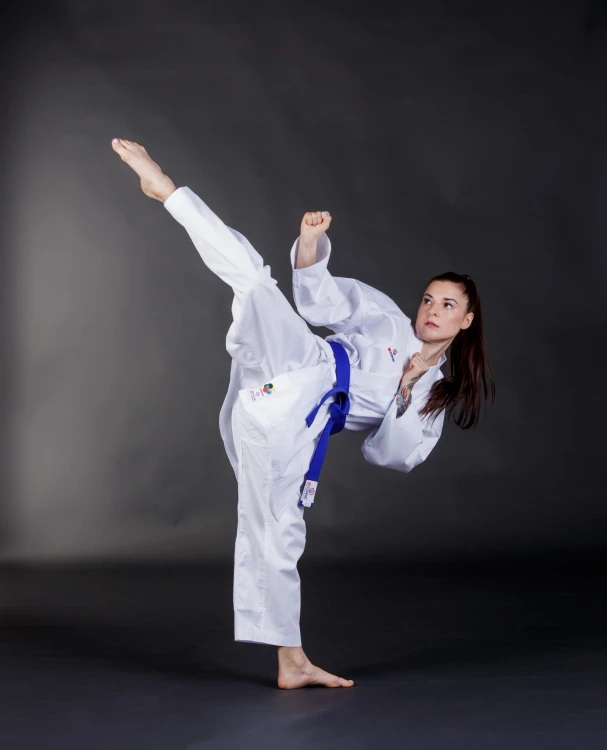 BS-13WKF