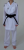 koi master (1).png